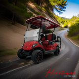 Golf Cart Sightseeing 4 Seater