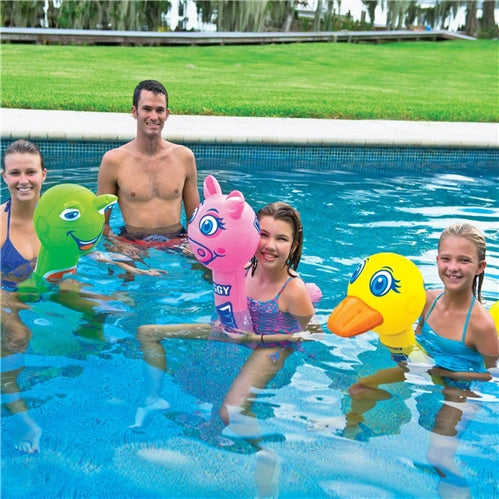 Wow Pool Pal